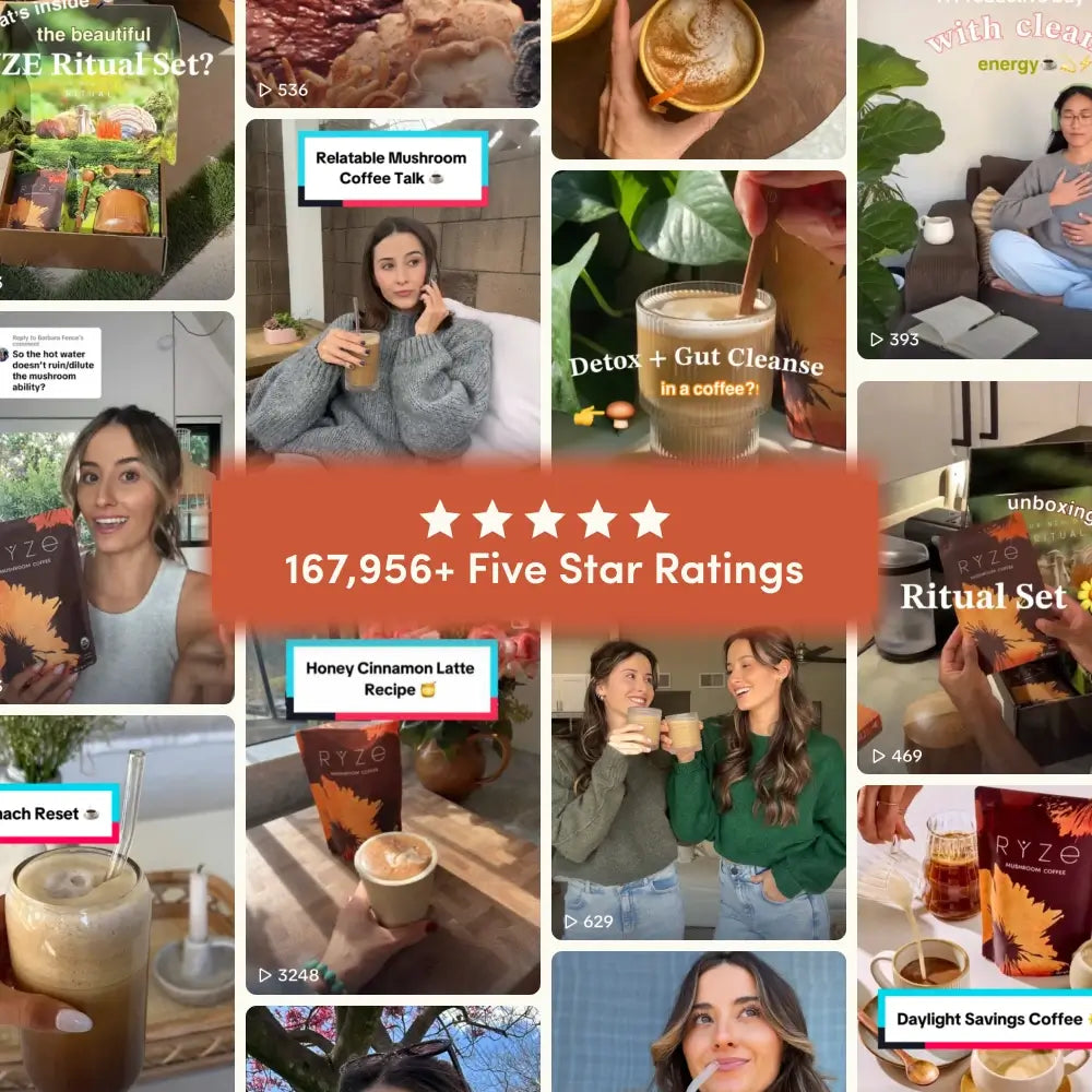 The Magic of Adaptogen Mushrooms in Every Bite �?Cordyceps/Stamina, Reishi/Mood Support, Lion's Mane/Focus with mushroom...